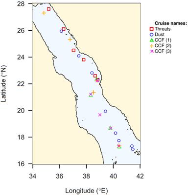 Picophytoplankton Niche Partitioning in the Warmest Oligotrophic Sea